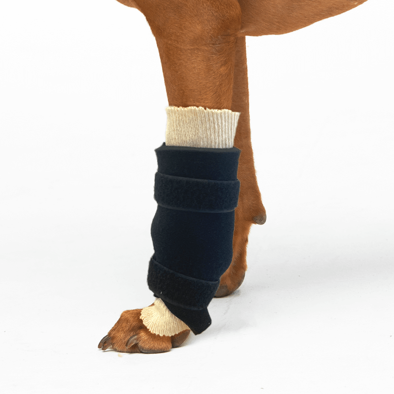 exemple attelle du carpe souple kit attelle sur mesure