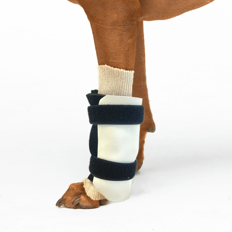 exemple attelle du carpe rigide kit attelle sur mesure