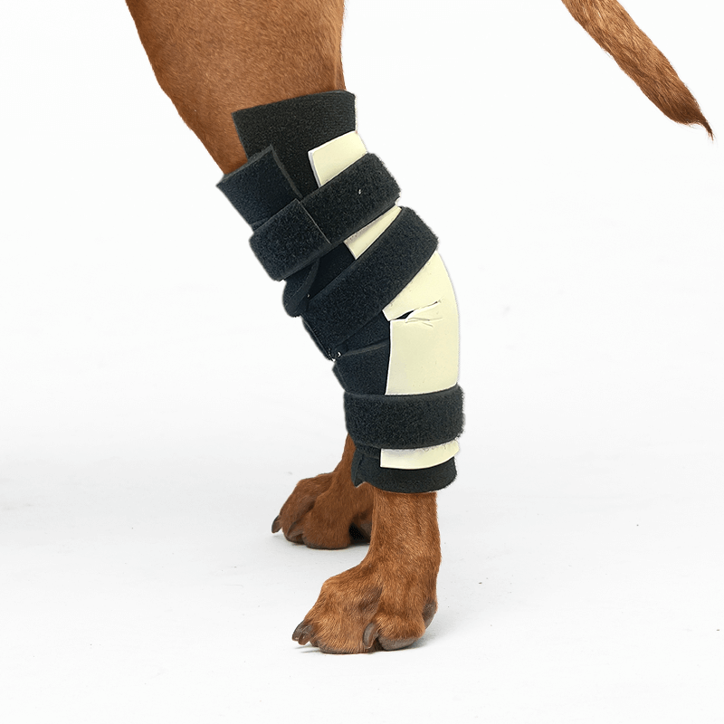 exemple attelle du tarse rigide kite attelle su rmesure