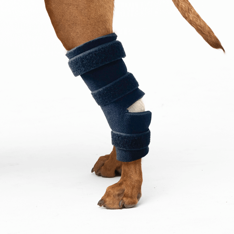 exemple attelle du tarse souple ouverte kit attelle su rmesure