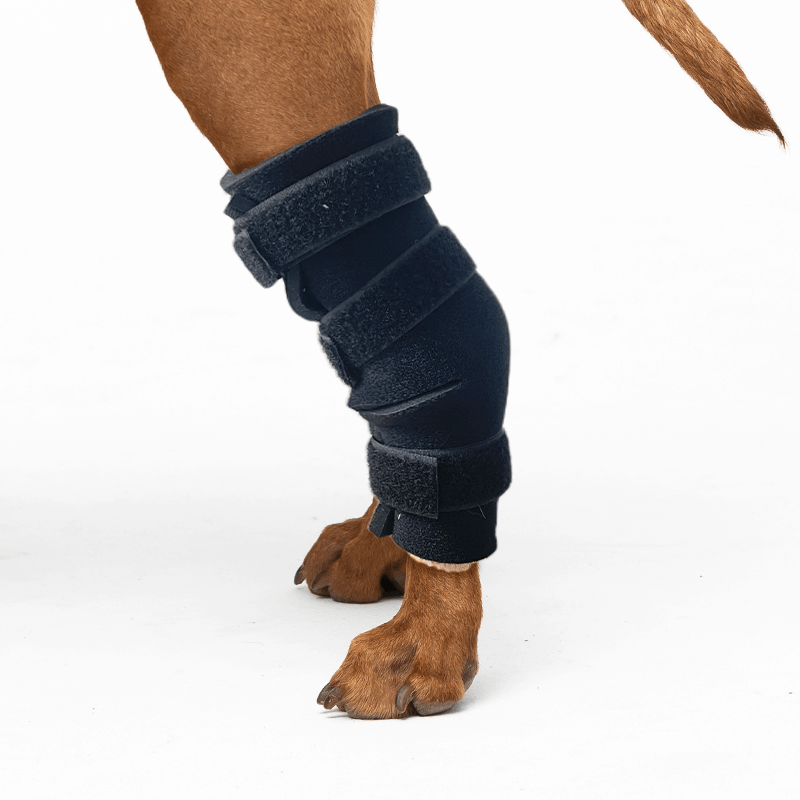 exemple attelle du tarse souple fermée kit attelle su rmesure