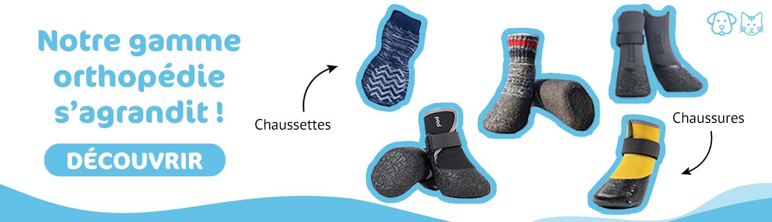 La gamme de chaussures s'agrandi !