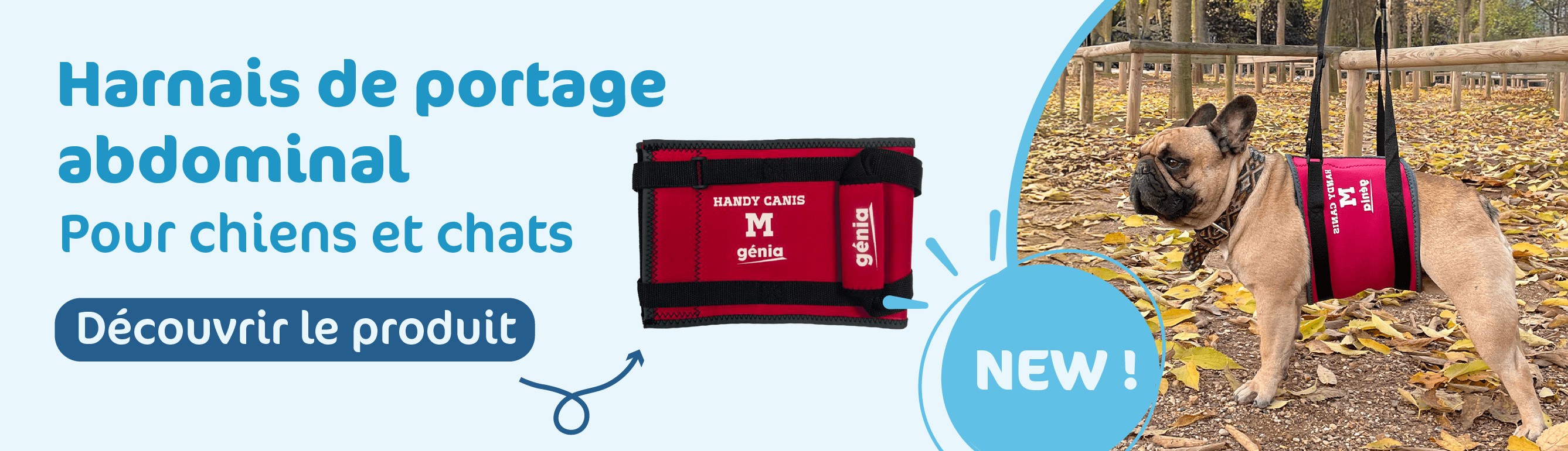 Bannière harnais abdominal