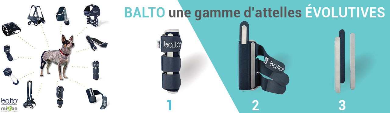 Attelles Balto pour chiens et chats évolutives genouillère, coudière, tarse, carpe