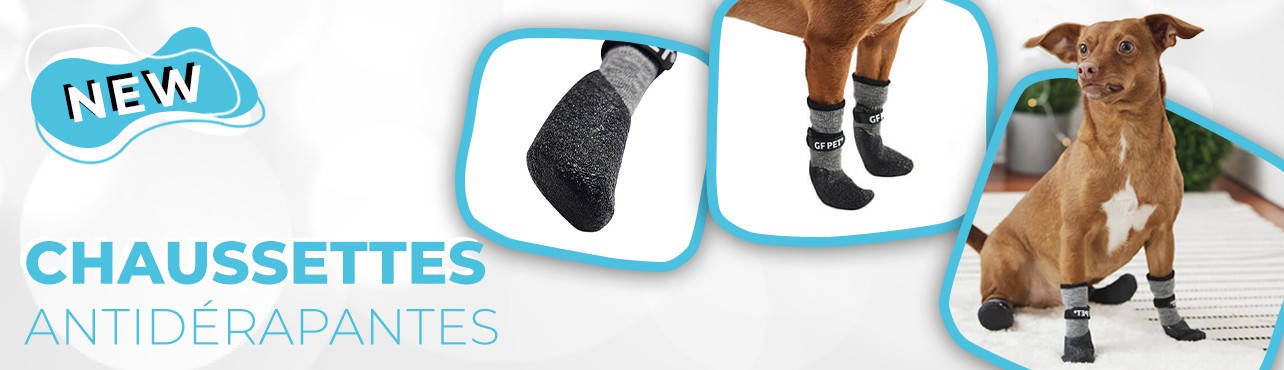 Nouvelles chaussettes antidérapantes pour chien mikan